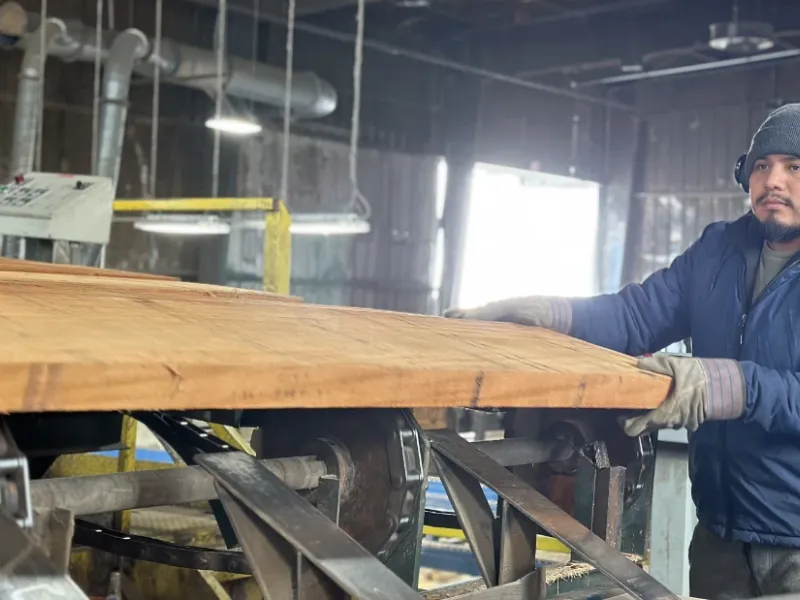 Line 2 processing with a load of Mahogany.