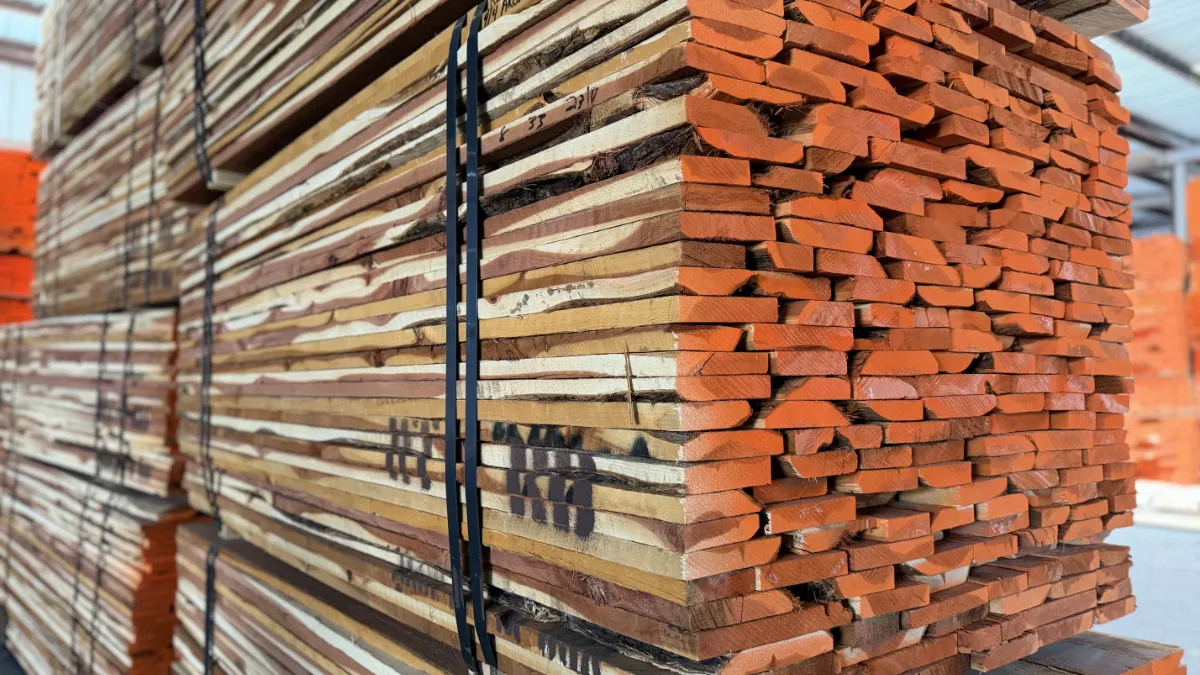 Line 5 moulder rips finishing.